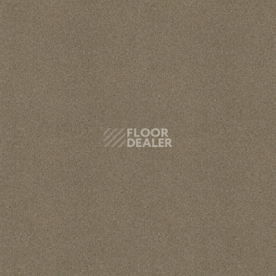 Ковровая плитка Forbo Tessera basis pro 4378 Malt фото 1 | FLOORDEALER